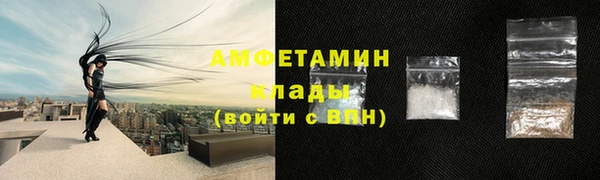 сатива Кулебаки