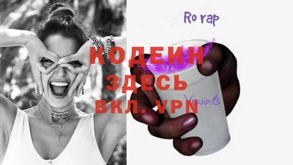 сатива Кулебаки