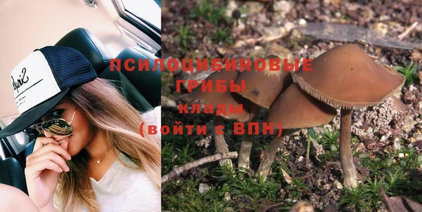 мяу мяу мука Куйбышев