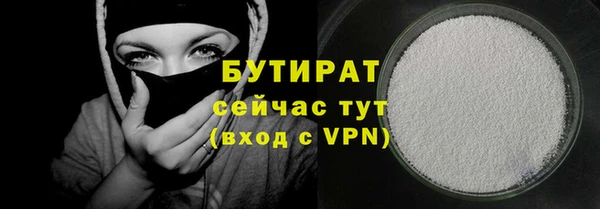 сатива Кулебаки