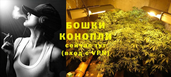 apvp Козельск