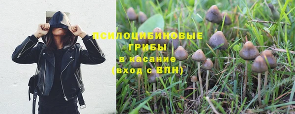 бутират Краснослободск