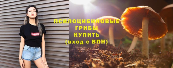 MDMA Заводоуковск