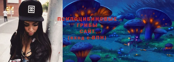 сатива Кулебаки
